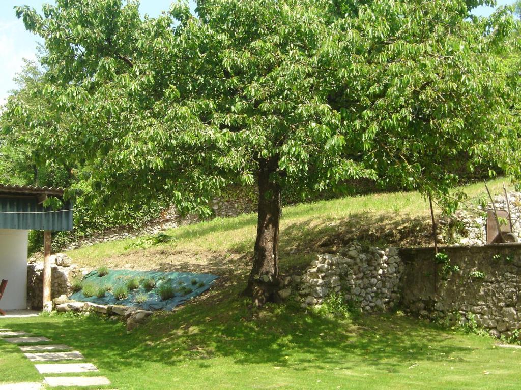 Cote Jardin Lejlighed Saint-Jean-en-Royans Eksteriør billede